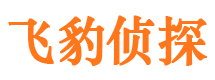 临澧寻人公司